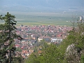 IMG_0537