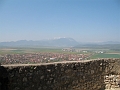 IMG_0544