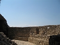 IMG_0547