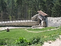 IMG_0642