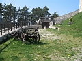 IMG_0649