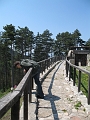 IMG_0651