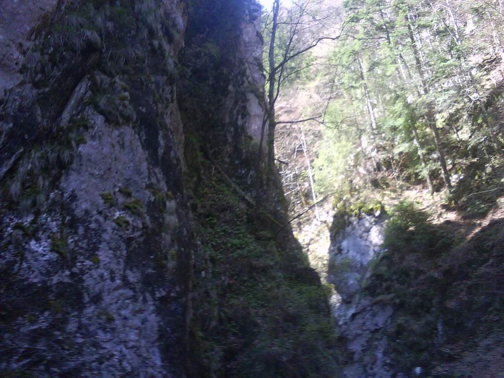 dsc00851.jpg