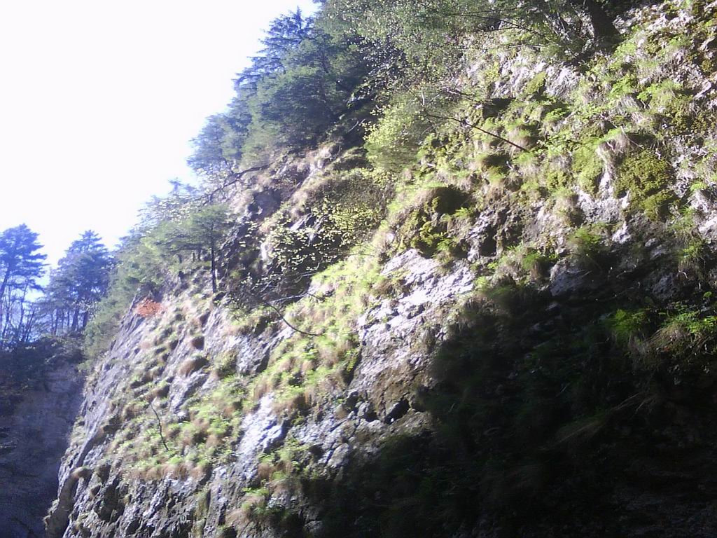 dsc00859.jpg