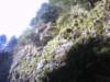 dsc00859_small.jpg
