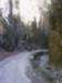 dsc00860_small.jpg
