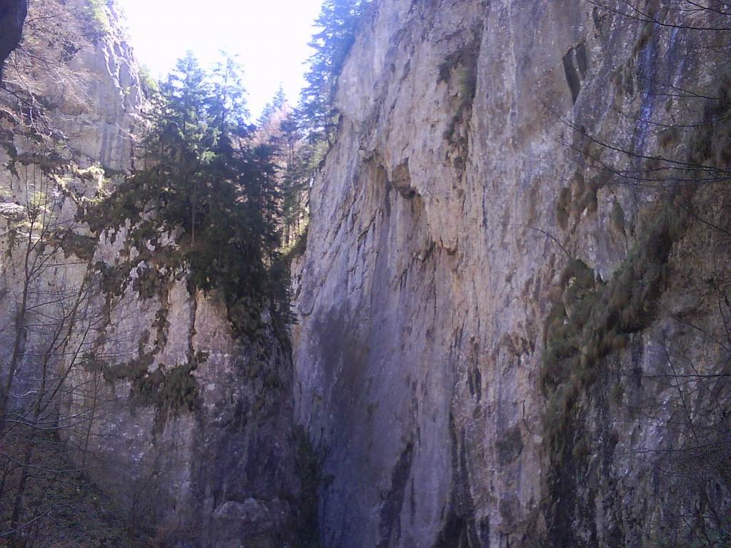 dsc00864.jpg