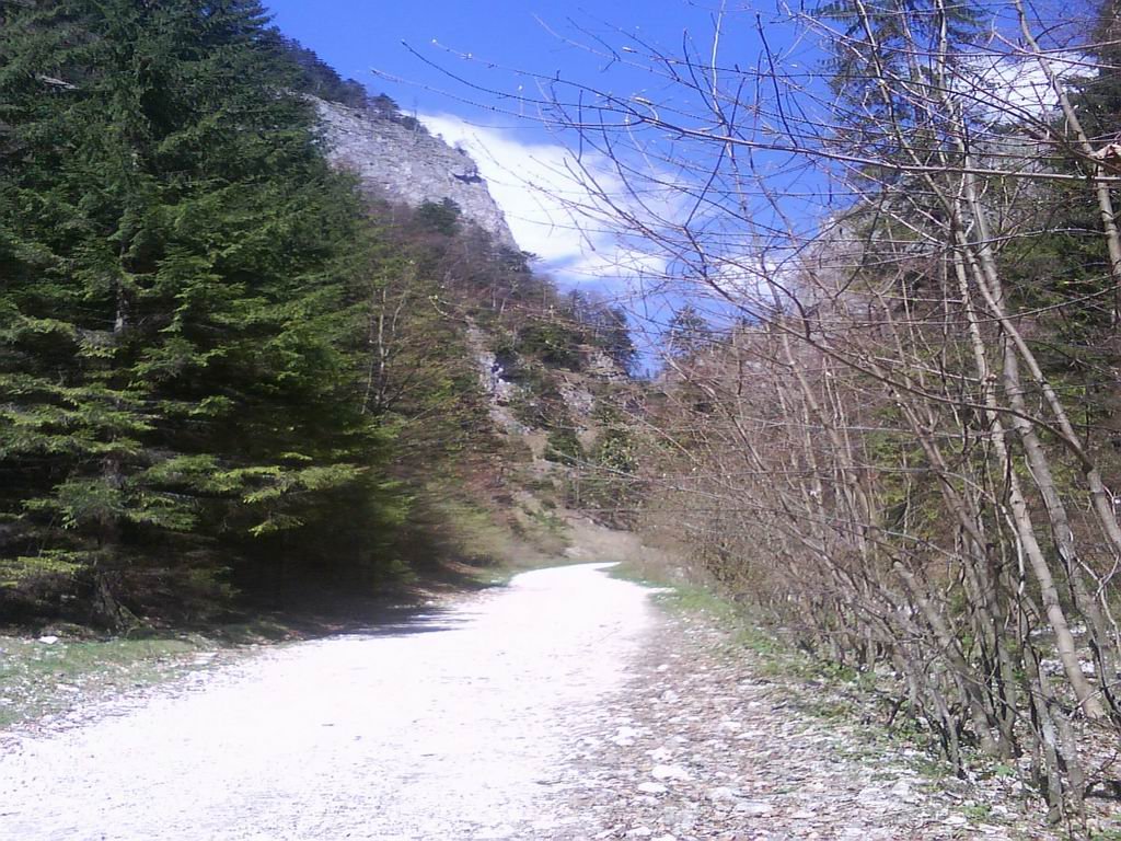 dsc00867.jpg