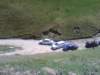dsc00871_small.jpg