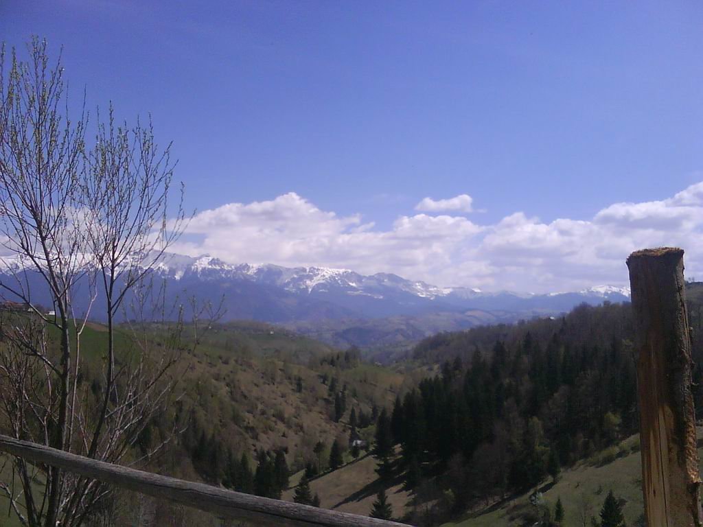 dsc00872.jpg