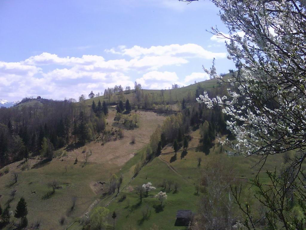 dsc00874.jpg
