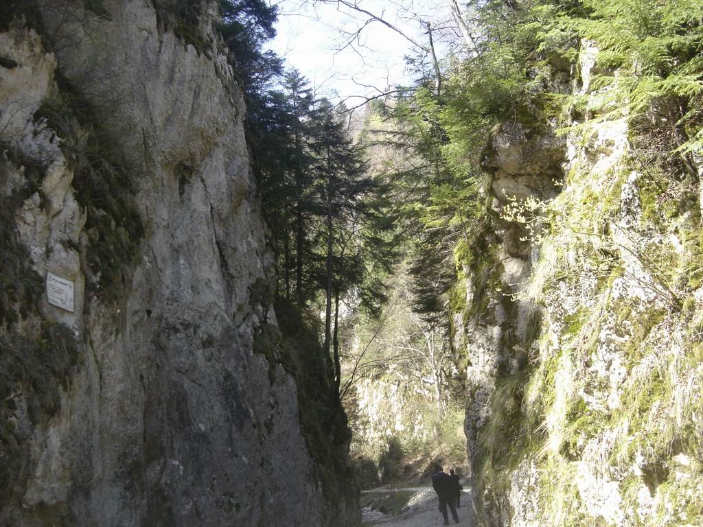 dsc04035.jpg