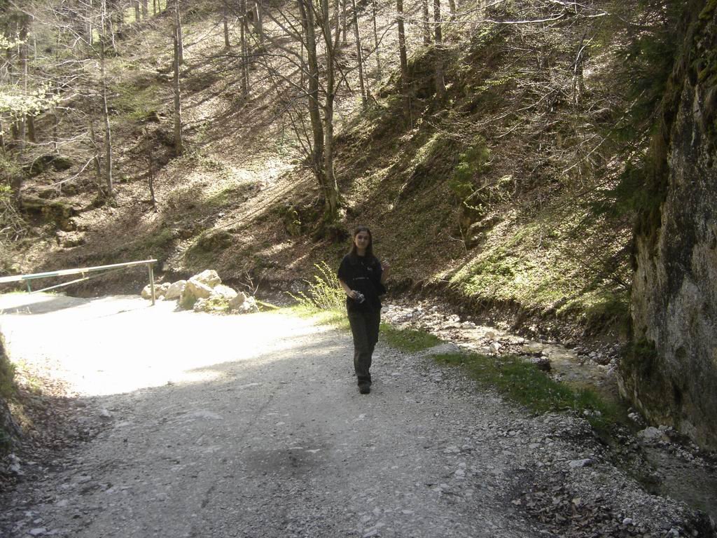 dsc04036.jpg