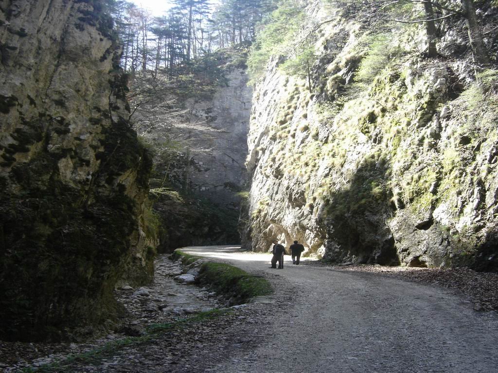 dsc04040.jpg