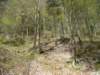 dsc06543_small.jpg
