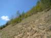 dsc06544_small.jpg