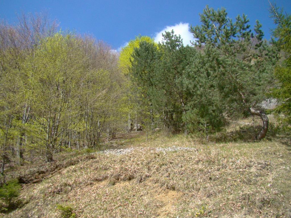 dsc06545.jpg