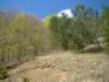 dsc06545_small.jpg