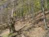 dsc06546_small.jpg