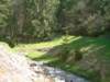 dsc06548_small.jpg