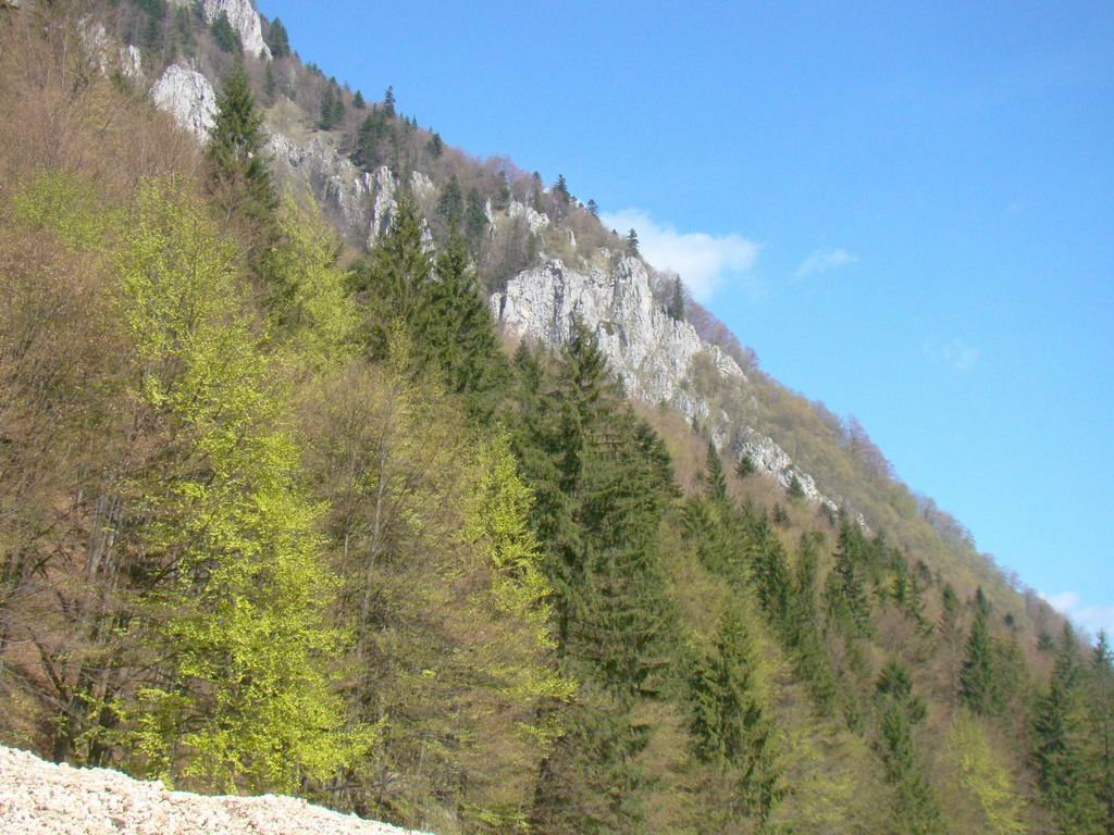 dsc06551.jpg