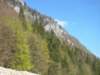 dsc06551_small.jpg