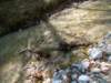 dsc06554_small.jpg