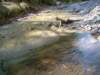 dsc06555_small.jpg