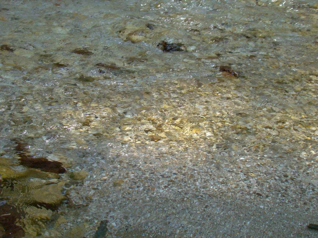 dsc06556.jpg