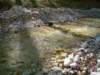 dsc06557_small.jpg