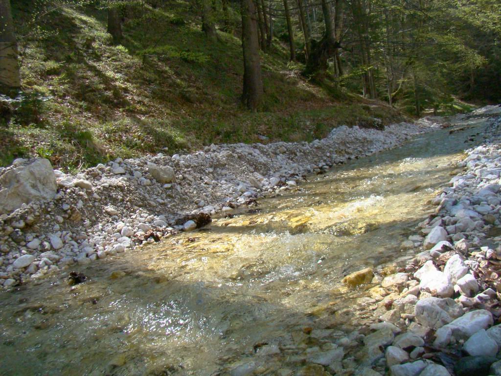 dsc06558.jpg