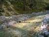 dsc06558_small.jpg