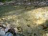 dsc06559_small.jpg