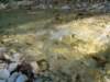 dsc06560_small.jpg