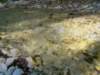 dsc06561_small.jpg