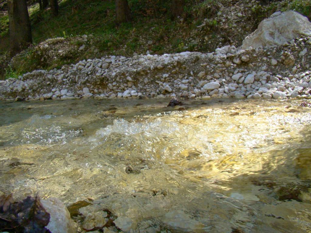 dsc06562.jpg