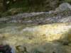 dsc06562_small.jpg