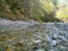 dsc06563_small.jpg