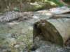 dsc06564_small.jpg