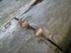 dsc06565_small.jpg