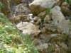 dsc06566_small.jpg