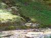dsc06567_small.jpg