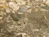dsc06569_small.jpg