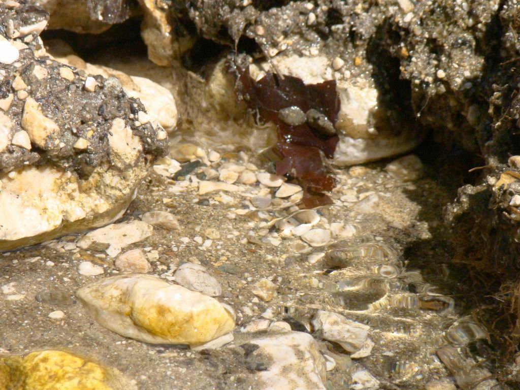 dsc06570.jpg