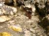 dsc06570_small.jpg