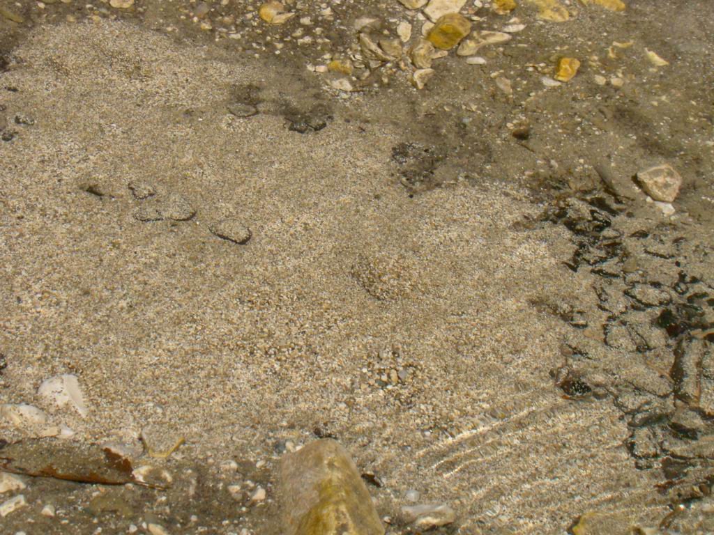 dsc06571.jpg
