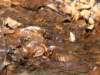dsc06572_small.jpg