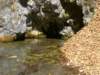 dsc06573_small.jpg