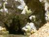 dsc06574_small.jpg