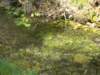 dsc06575_small.jpg